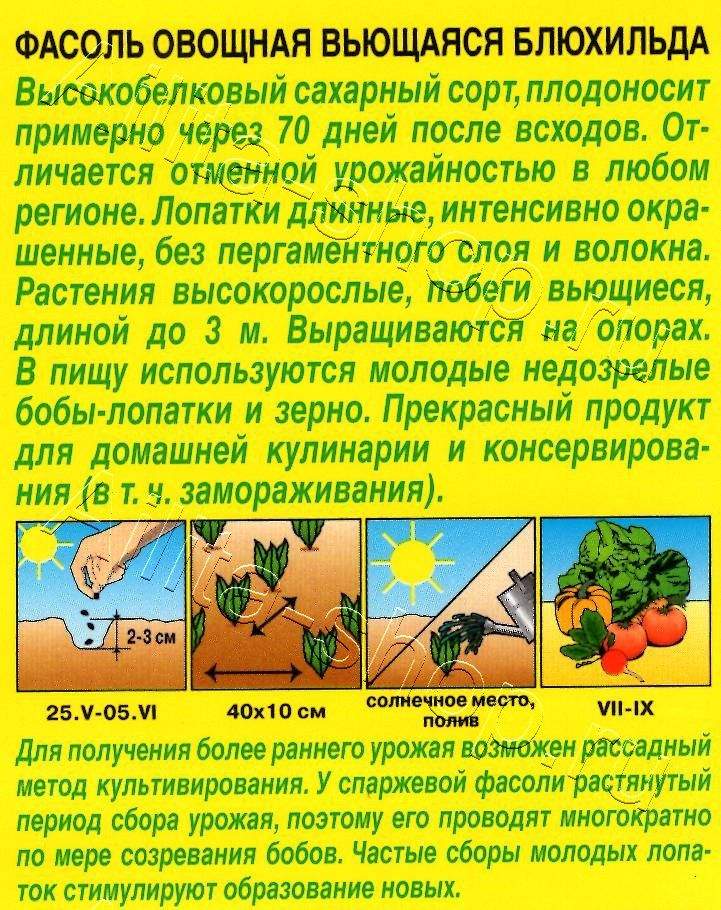 Фасоль вьющаяся Блюхильда 5г