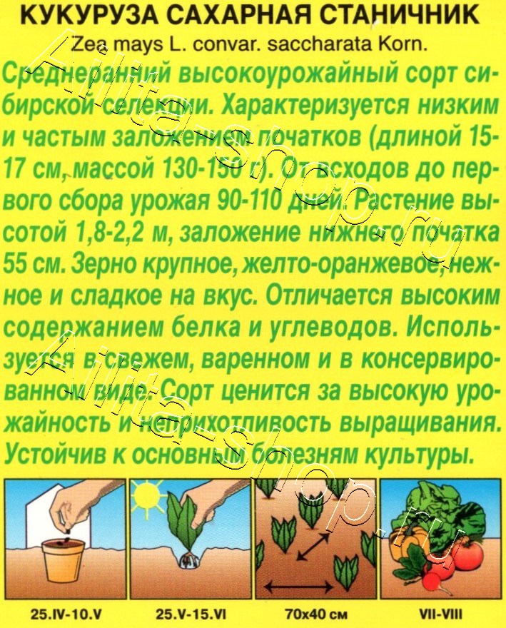 Кукуруза сахарная Станичник 7г