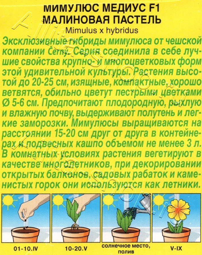 Мимулюс Медиус F1 малиновая пастель 10шт