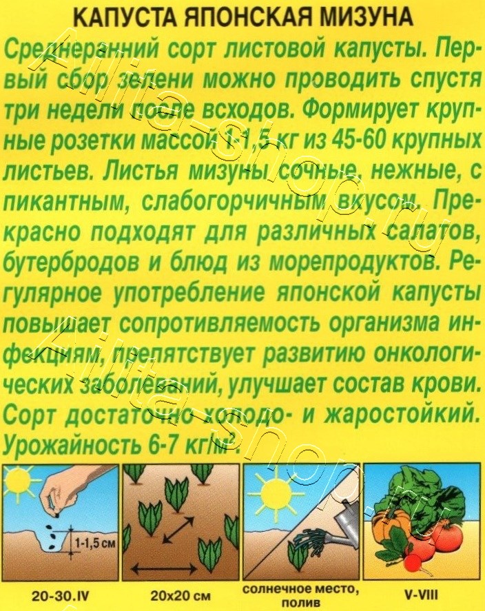 Капуста японская Мизуна 0,5г
