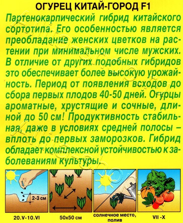 Огурец Китай-город F1 7шт