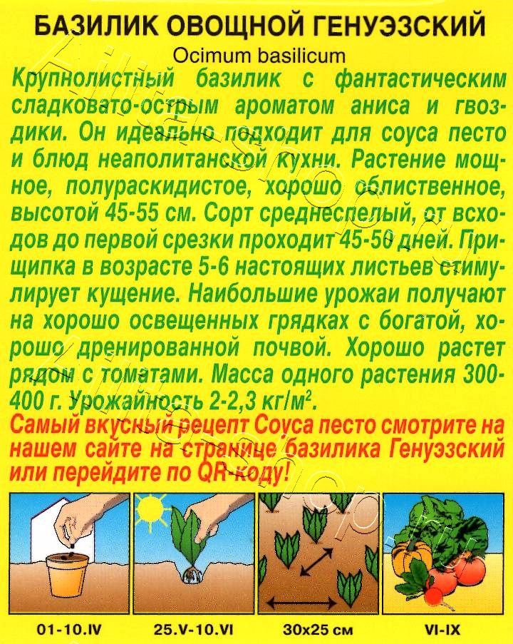 Базилик овощной Генуэзский 0,2г