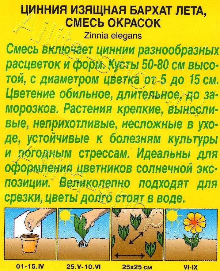 Цинния Бархат лета, смесь окрасок 0,5г