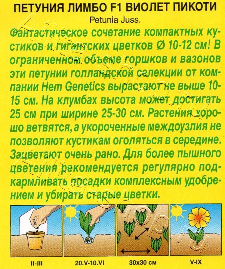 Петуния Лимбо F1 виолет пикоти крупноцветковая 7шт