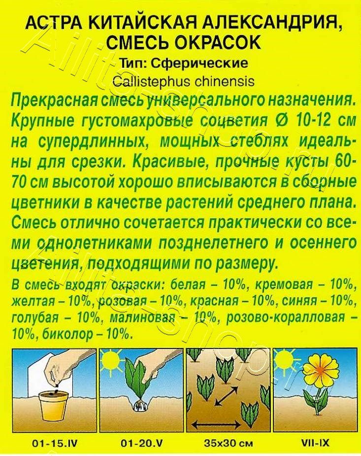 Астра Александрия, смесь окрасок 0,2г