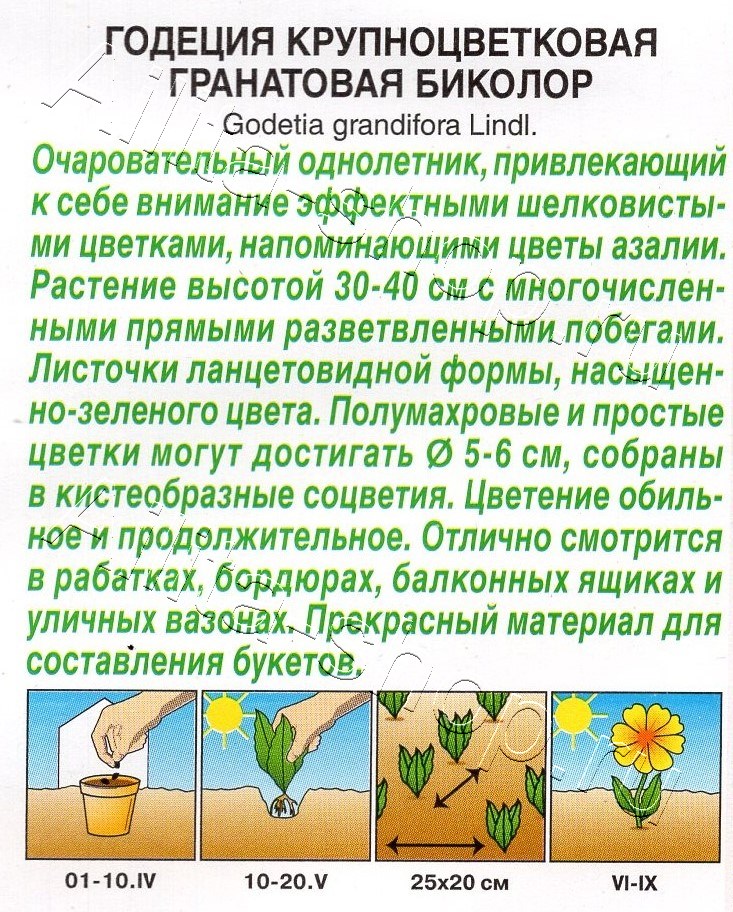 Годеция Гранатовая Биколор махровая 0,05г