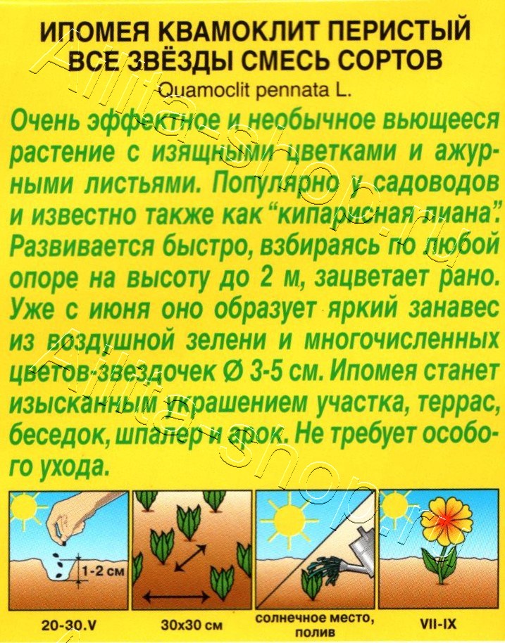 Ипомея Квамоклит Все звезды, смесь сортов 0,5г