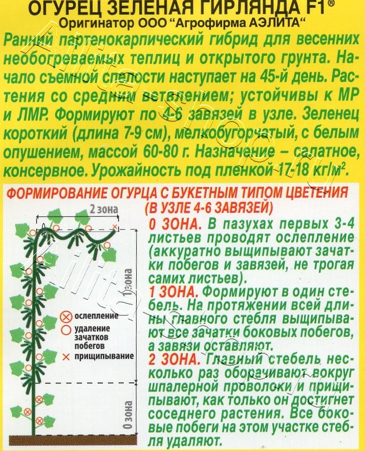Огурец Зеленая гирлянда F1 10шт