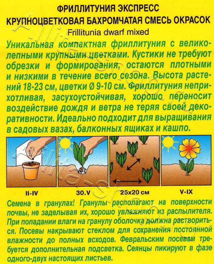 Фриллитуния Экспресс F1 смесь сортов крупноцветковая бахромчатая 7шт