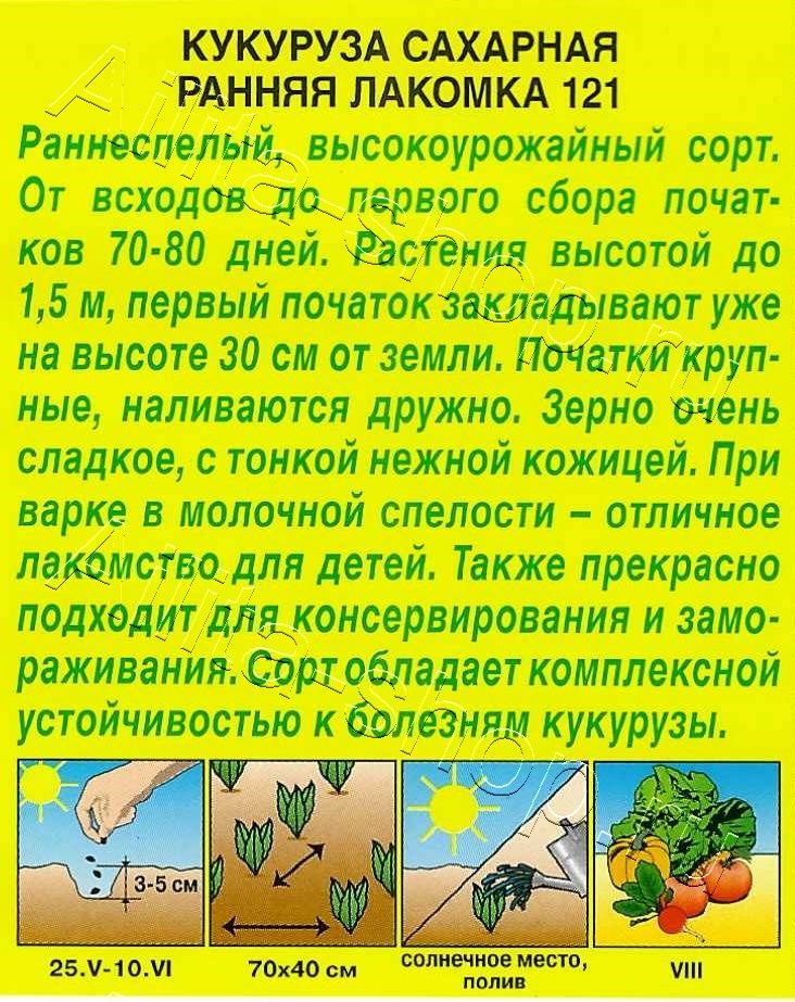 Кукуруза сахарная Ранняя лакомка  121 7г