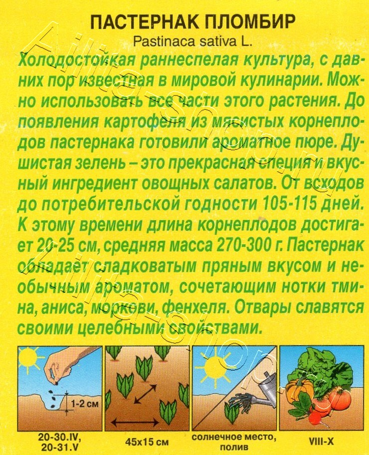 Пастернак Пломбир 1г