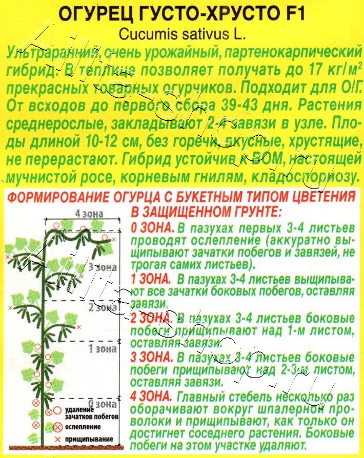 Огурец Густо-хрусто F1 10шт