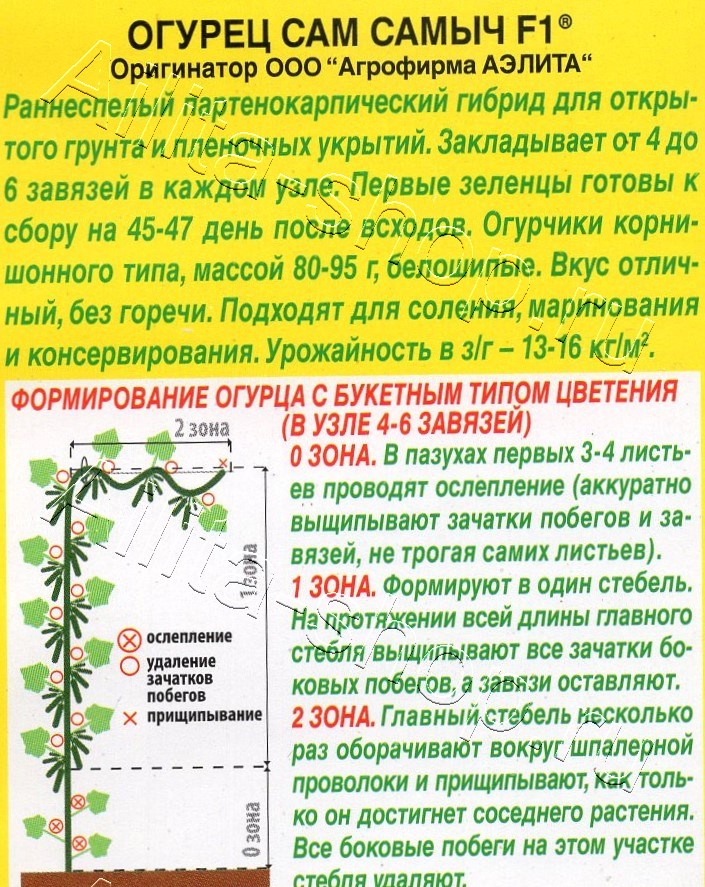 Огурец Сам самыч F1 10шт