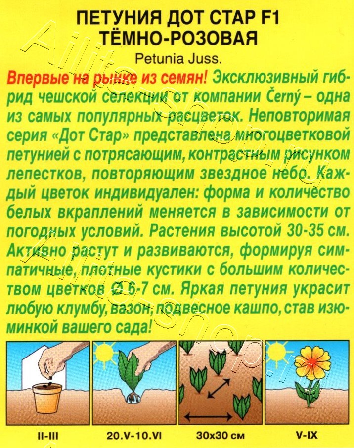 Петуния Дот Стар F1 темно-розовая 7шт