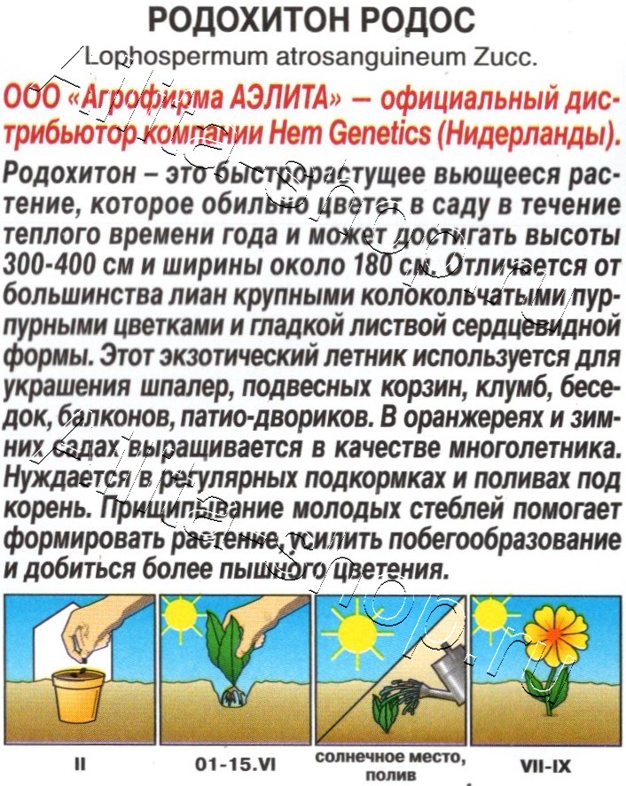 Родохитон Родос 4шт