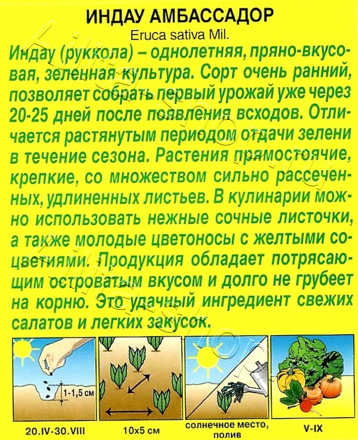 Индау (руккола) Амбассадор 0,3г