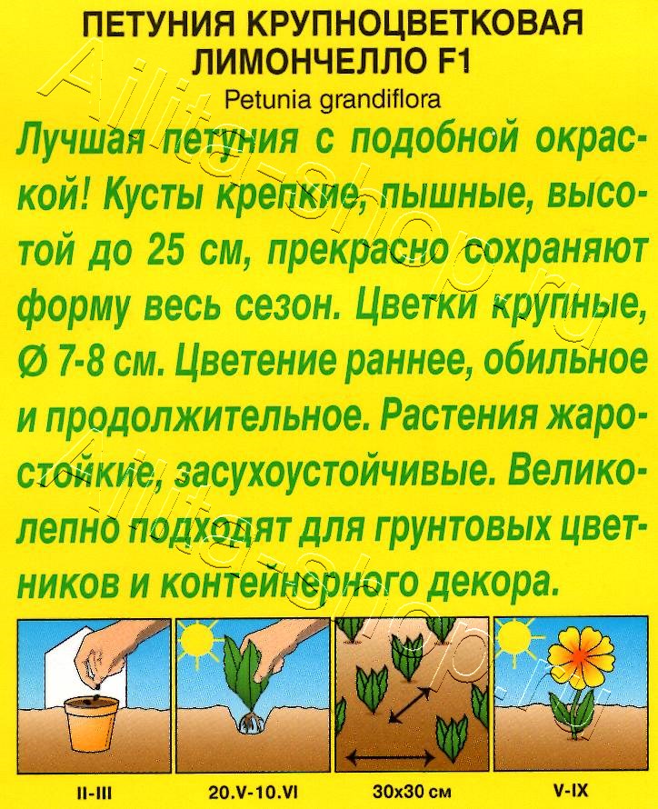 Петуния Лимончелло F1 крупноцветковая 7шт
