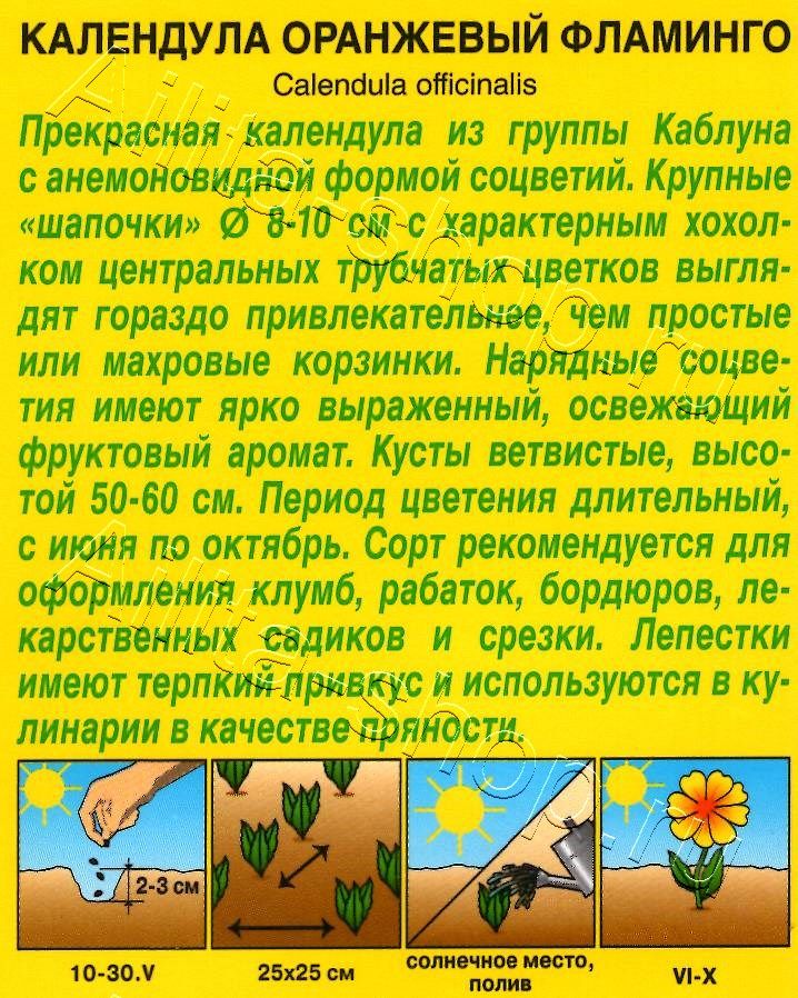 Календула Оранжевый фламинго 0,5г