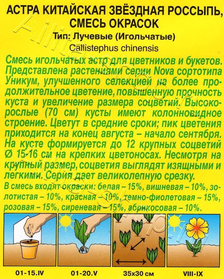 Астра Звездная россыпь, смесь окрасок 0,2г