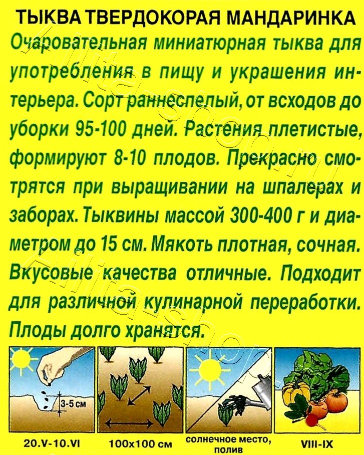 Тыква твердокорая Мандаринка 1г