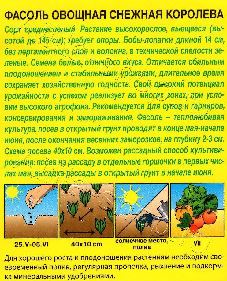 Фасоль овощная Снежная королева 5г