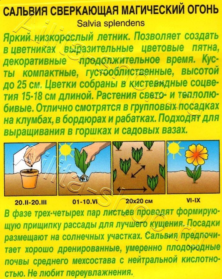 Сальвия Магический огонь 0,1г