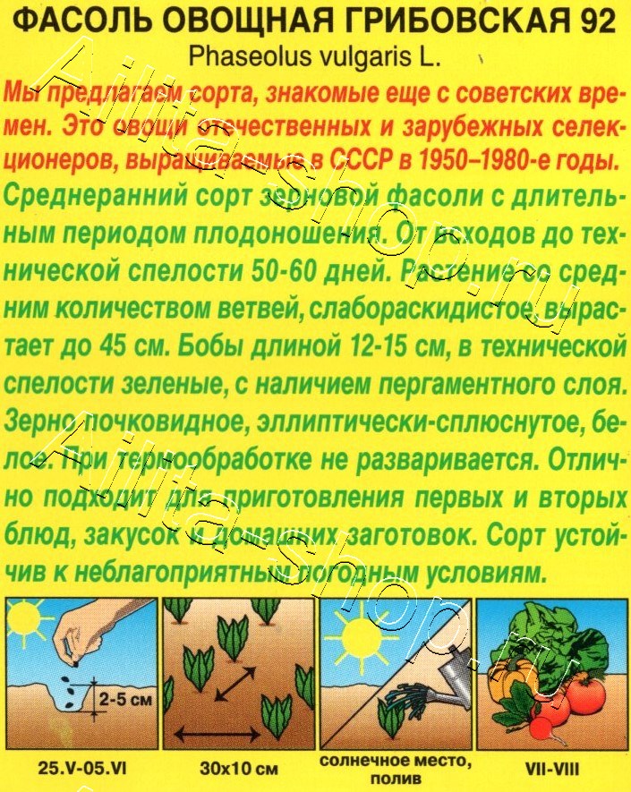 Фасоль овощная Грибовская 92 5г