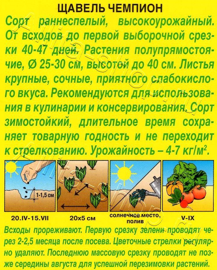 Щавель Чемпион 0,5г