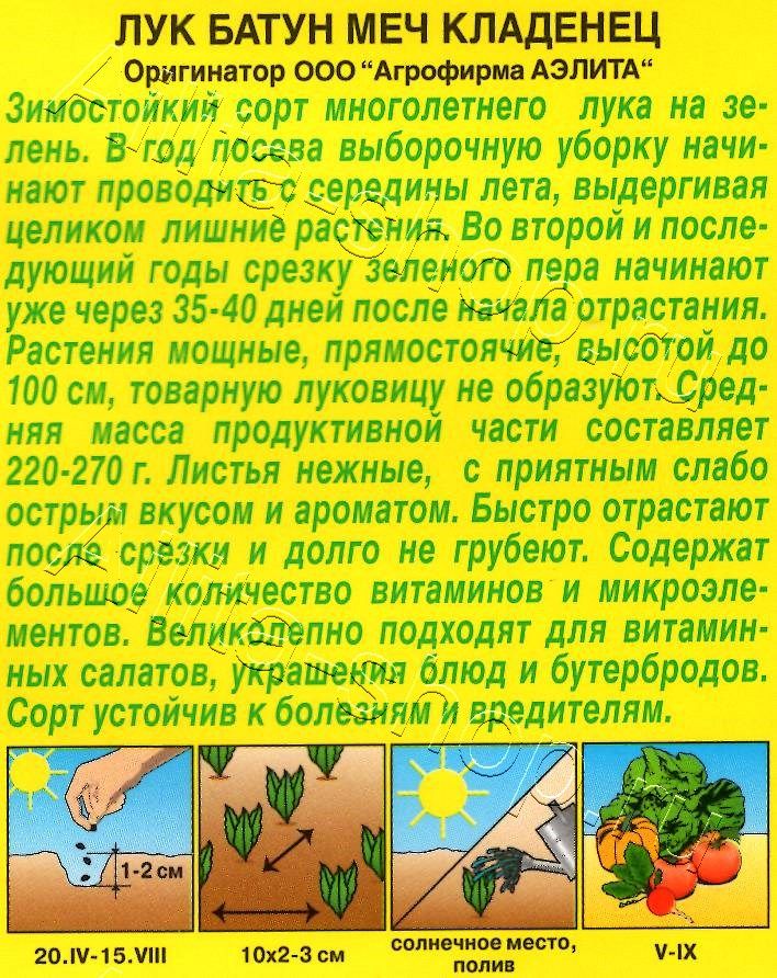 Лук батун Меч Кладенец 0,5г