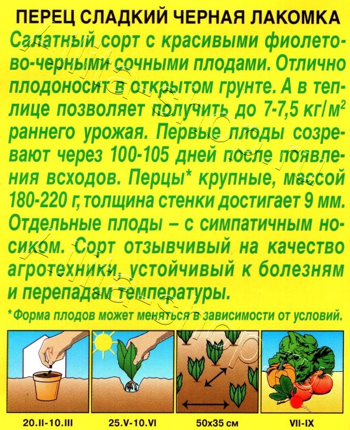 Перец сладкий Черная лакомка 20шт