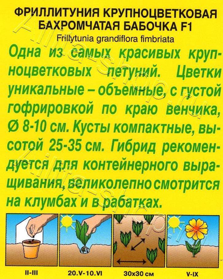 Фриллитуния Бабочка F1 крупноцветковая бахромчатая 10шт