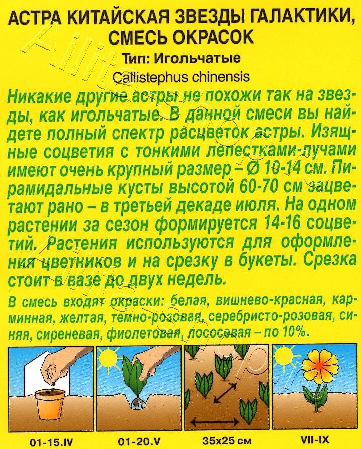 Астра Звезды галактики, смесь окрасок 0,2г