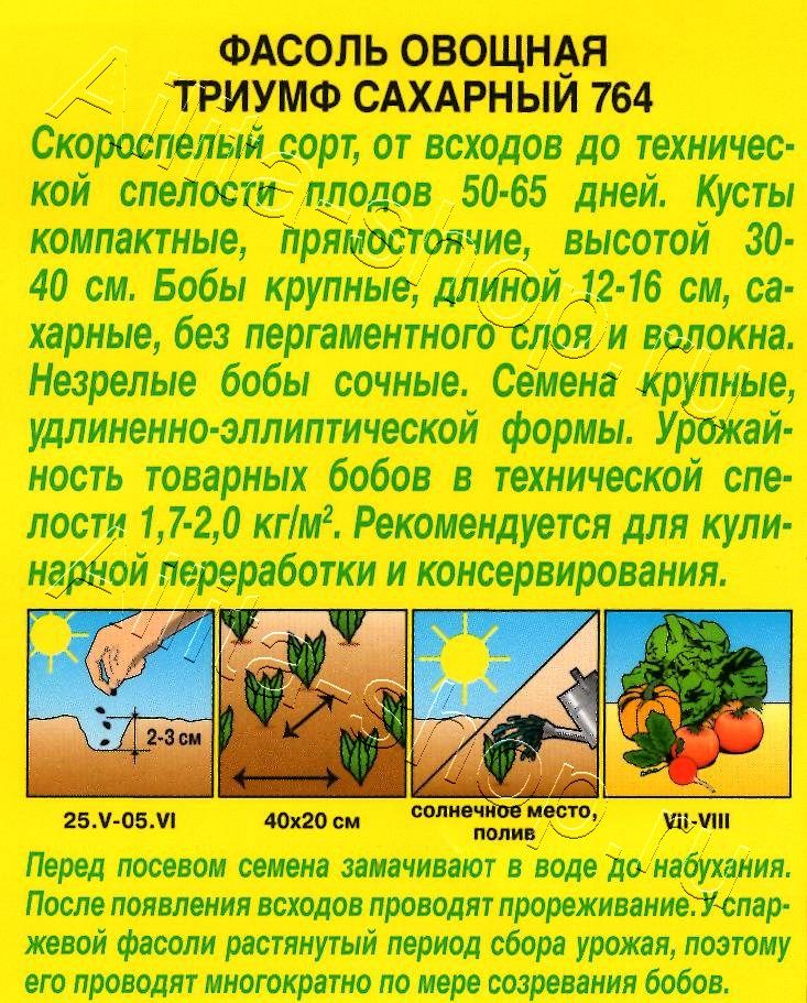 Фасоль овощная Триумф сахарный 764 5г