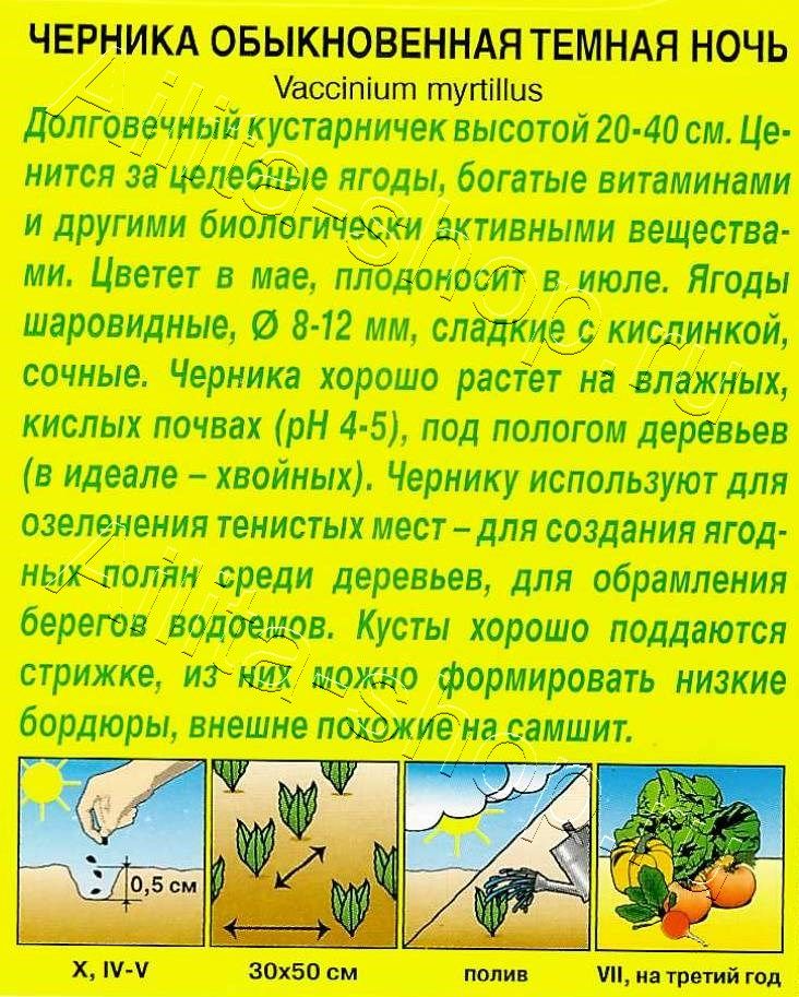 Черника обыкновенная Темная ночь 0,01г