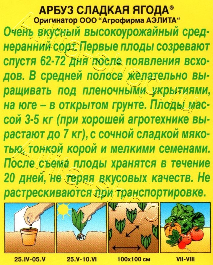 Арбуз Сладкая ягода 1г