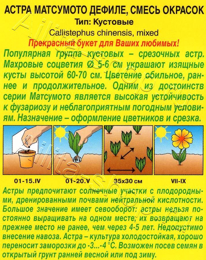 Астра Матсумото Дефиле, смесь окрасок 0,2г