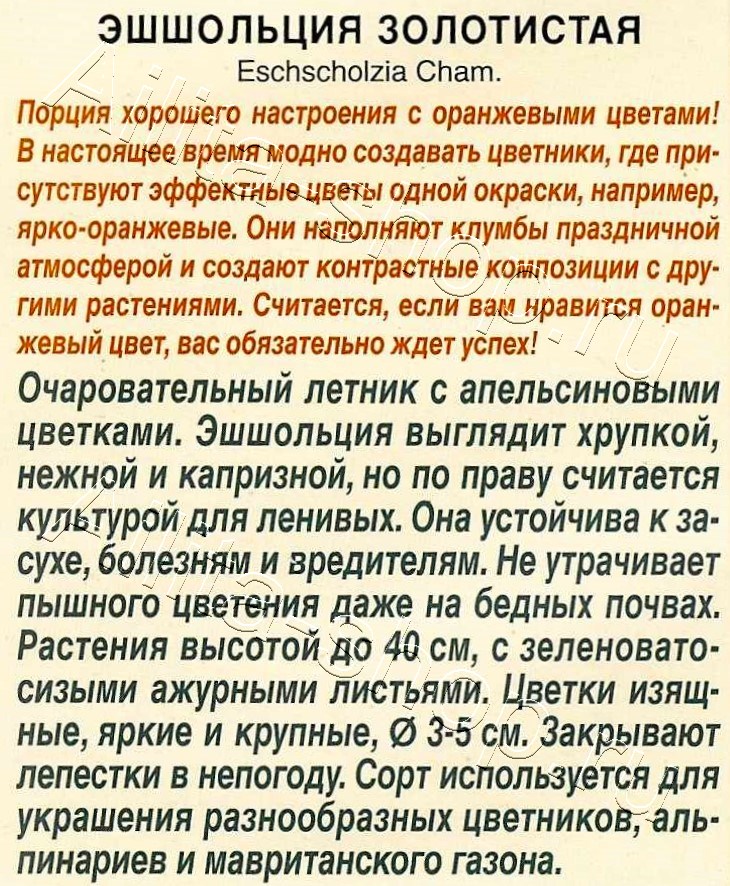 Эшшольция Золотистая 20шт