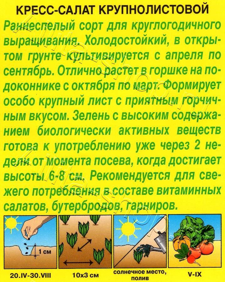 Кресс-салат Крупнолистовой 1г