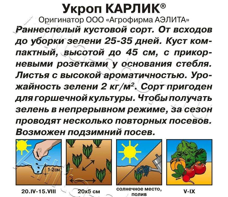 Укроп Карлик 3г