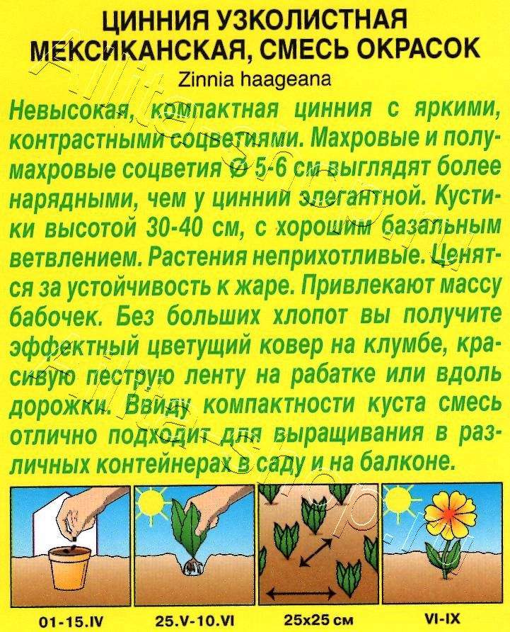 Цинния Мексиканская, смесь окрасок 0,3г