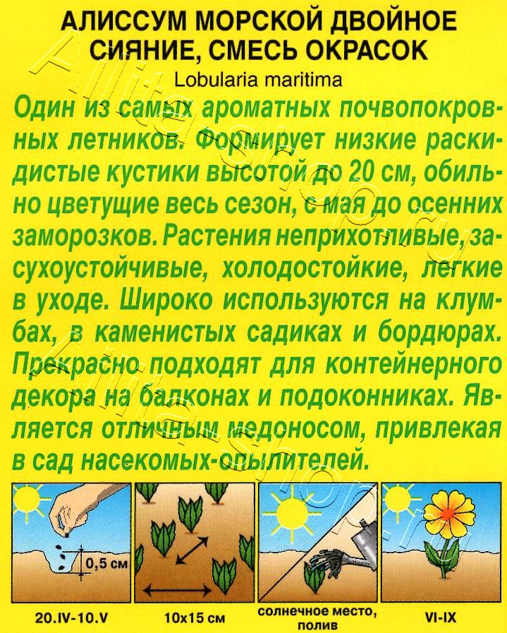 Алиссум Двойное сияние, смесь сортов 0,05г