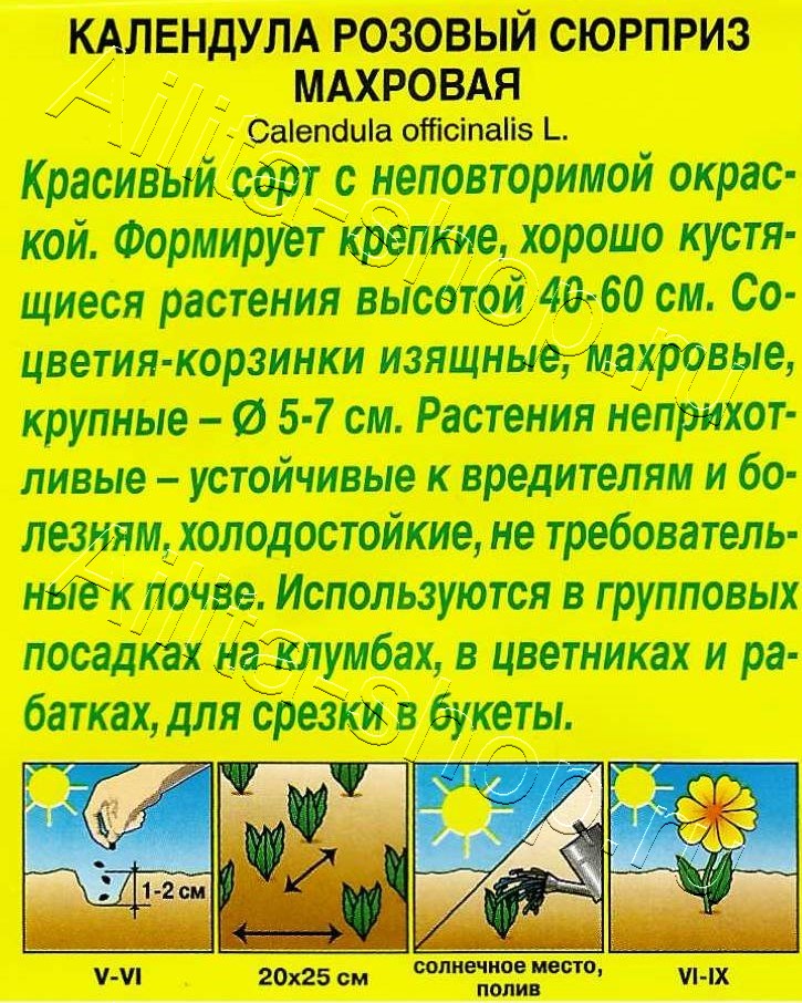 Календула Розовый сюрприз махровая 0,3г