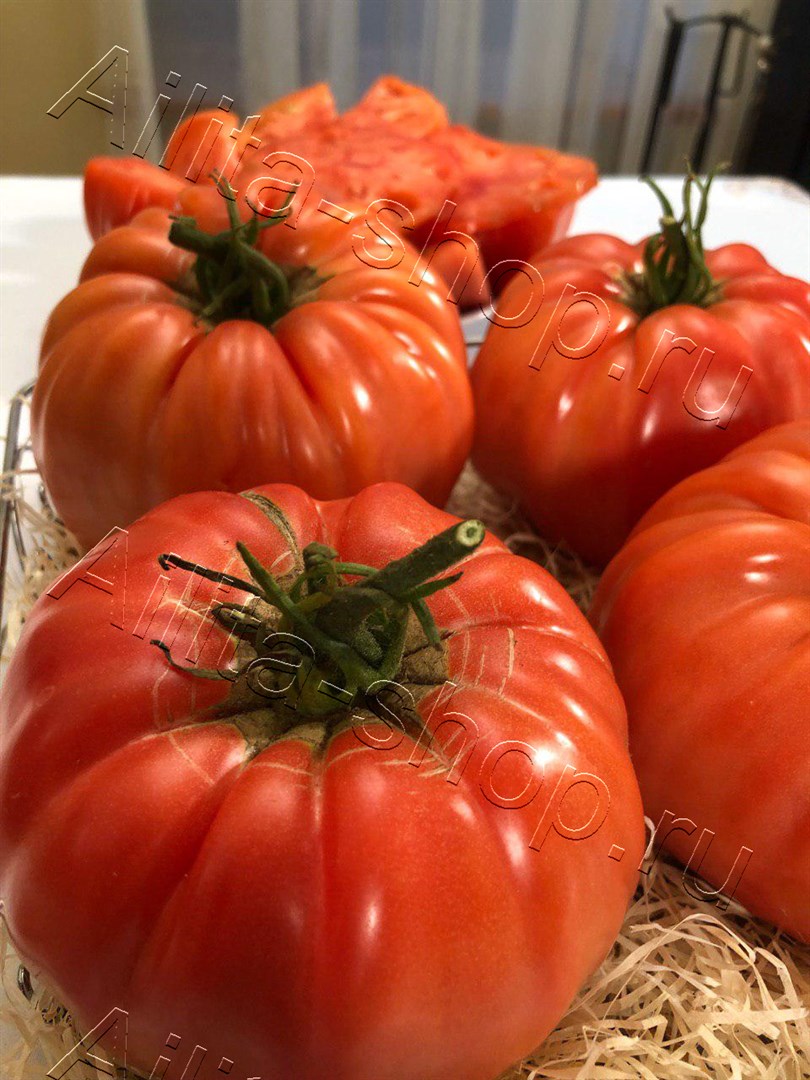 Томат Толстосум 20шт