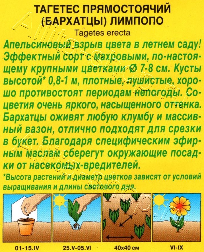 Бархатцы Лимпопо прямостоячие 0,3г