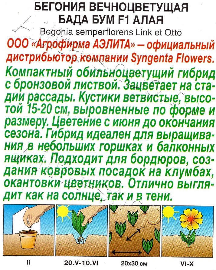 Бегония Бада бум F1 алая 5шт