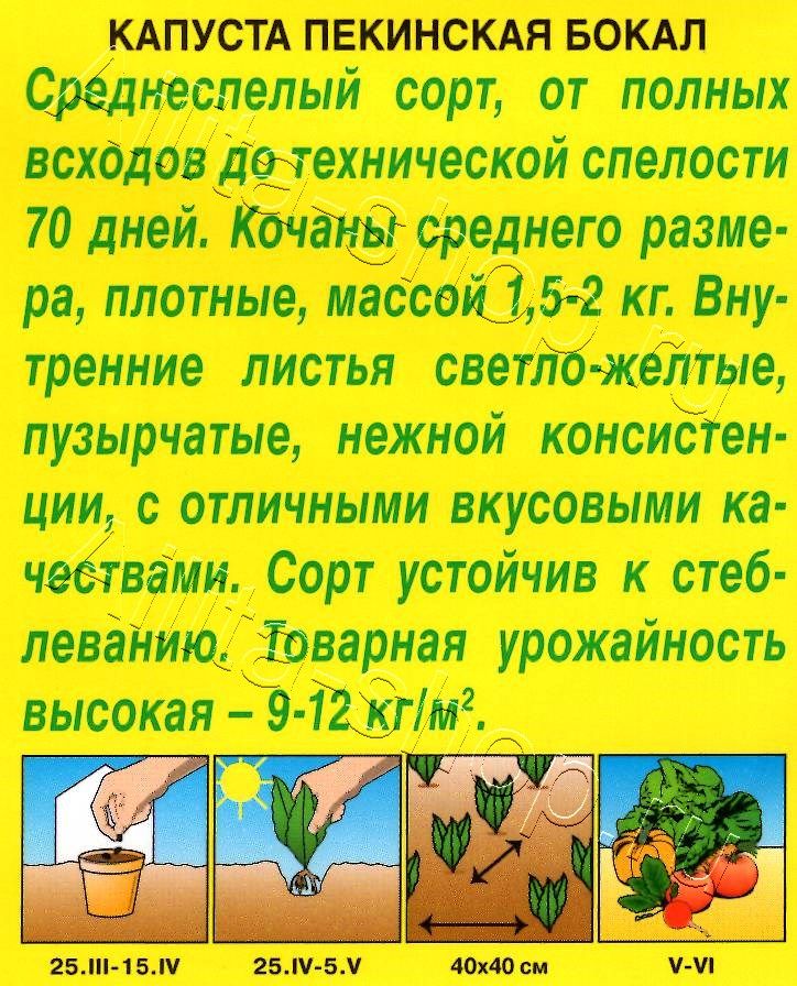 Капуста Пекинская Бокал 0,3г