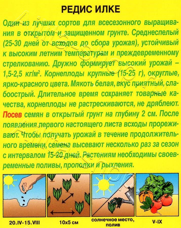 Редис Илке 3г