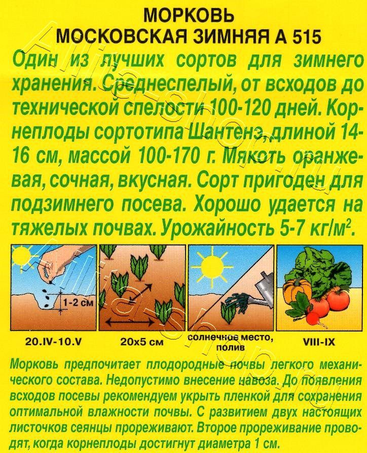 Морковь Московская зимняя А 515 2г