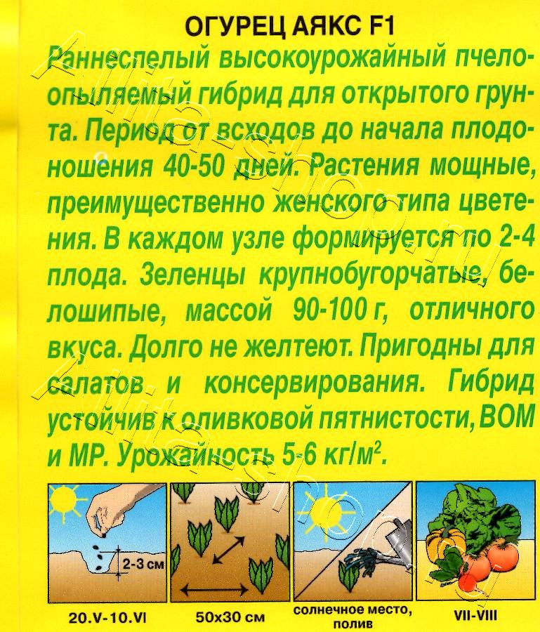 Огурец Аякс F1 10шт