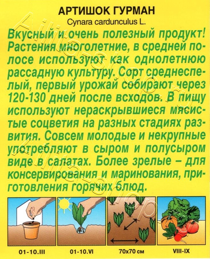 Артишок Гурман 8шт